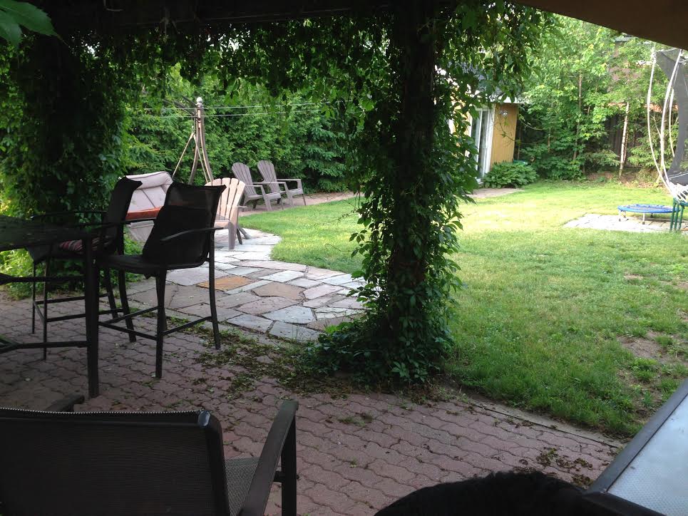 Etobicoke Addition & Reno - Before Construction Rear Yard